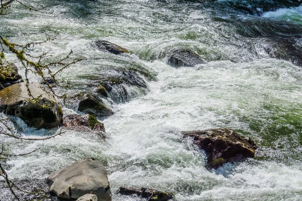 Rio Branco Rapids 7 — Fotografia de Stock