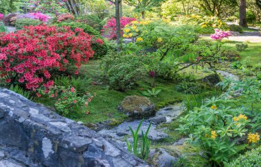 Renkli Bahçe ve Akarsu