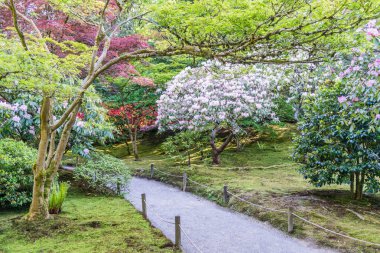 Renkli Bahçe Yolu 2