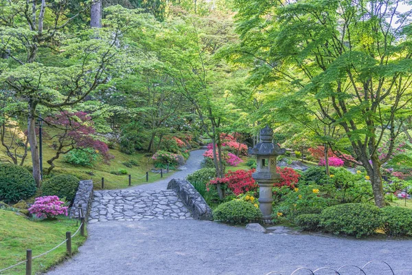 다채로운 정원 경로 6 — 스톡 사진