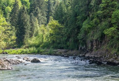 Evergreens ve nehir 2