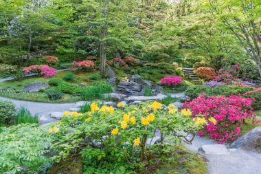 Tam Çiçekli Bahçe 4