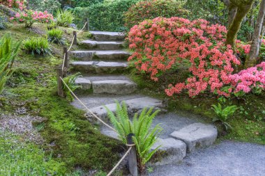 Azaleas Ve Kaya Adımlar 4