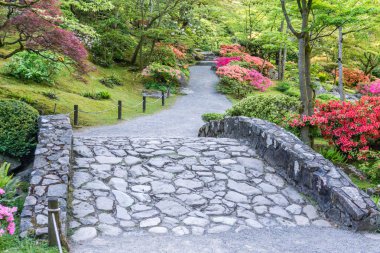 Renkli Bahçe Yolu 7