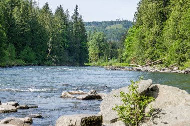 Evergreens Ve Nehir 3