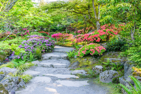 Multi-Colored Flower Garden