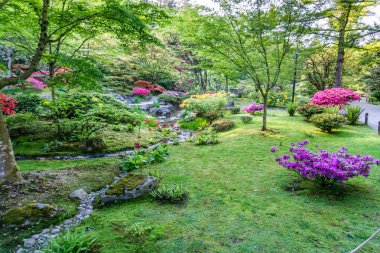 Bahar Bahçesi Profuions 5