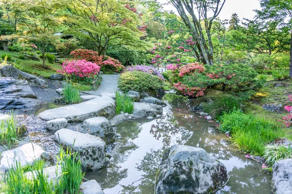 Exuberante colorido jardín de flores 7 — Foto de Stock