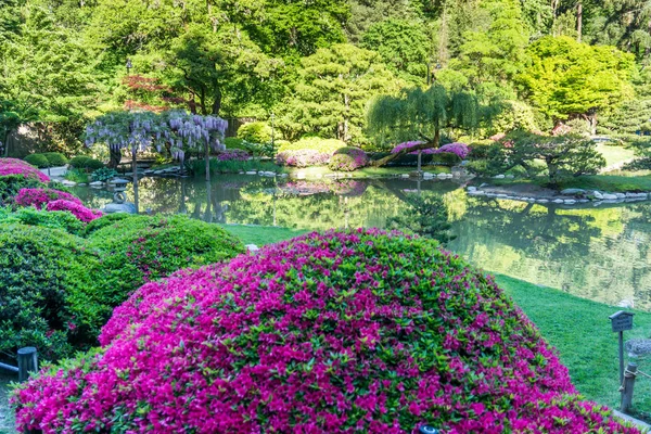 Jardín de flores y estanque — Foto de Stock