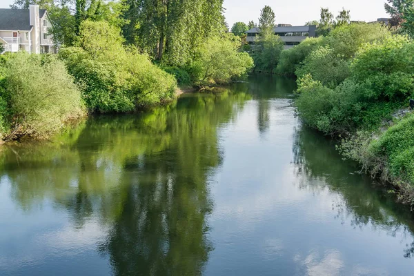 Grüner Fluss in Tukwila — Stockfoto