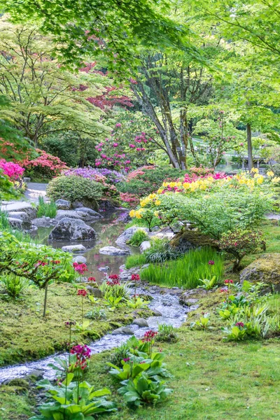 Jardín de flores multicolor 3 — Foto de Stock