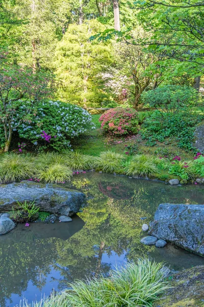 Garden Pond Reflection 2 — Stock Photo, Image