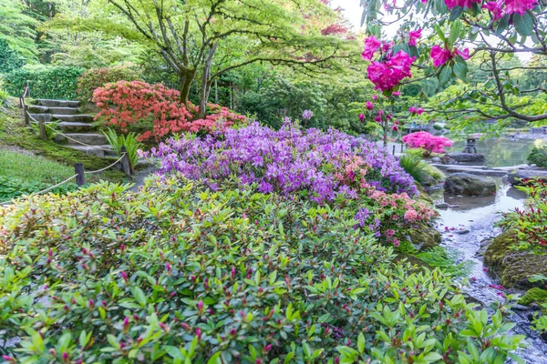 Jardín de flores colorido exuberante — Foto de Stock