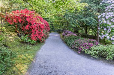 Çok Renkli Çiçek Bahçesi 6