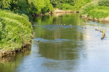 Yeşil Nehir 2 Kazık