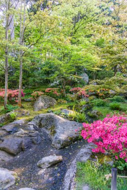 Gür Renkli Çiçek Bahçesi 3