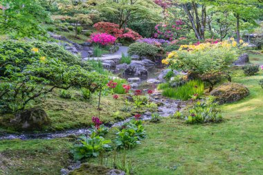 Bahar Bahçesi Profuions 4