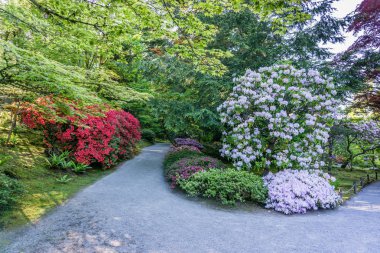 Çok Renkli Çiçek Bahçesi 4