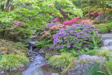 Kayalık Bahçe Deresi 7