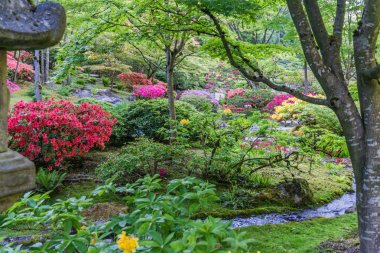 Bahar Bahçesi Profuions 2