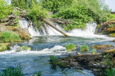 Şelaleden Aşağı Akım 2