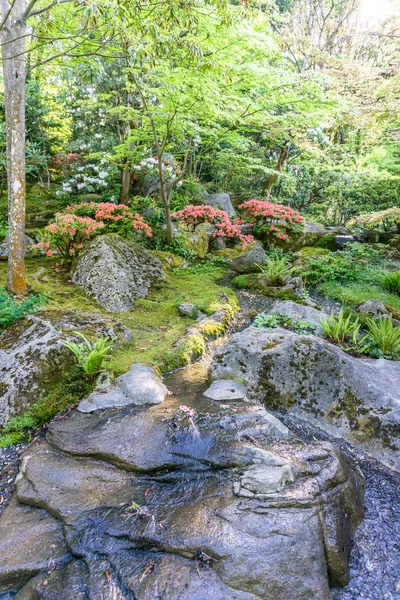 Fluxo de jardim sobre rochas — Fotografia de Stock