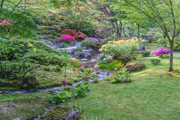 Bahar Bahçesi Profuions 3