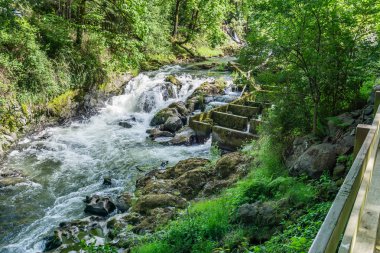 Manzara Nehri Rapids 4