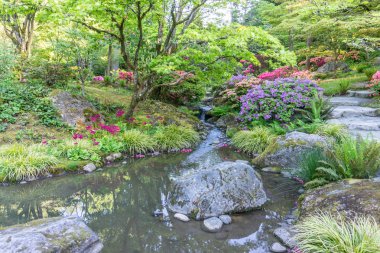 Kayalık Bahçe Deresi 3