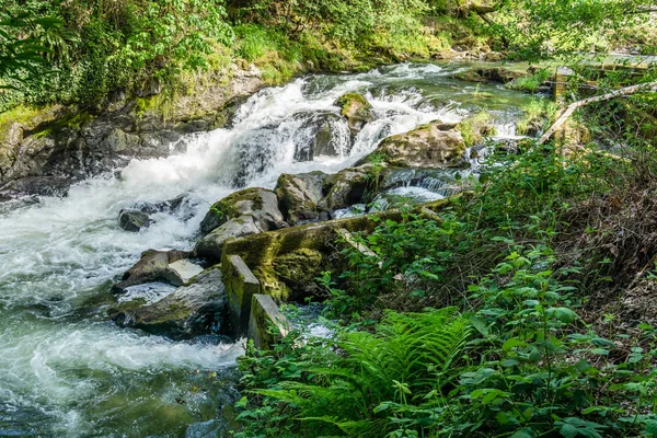 Scenic River Rapids 3 — Stockfoto