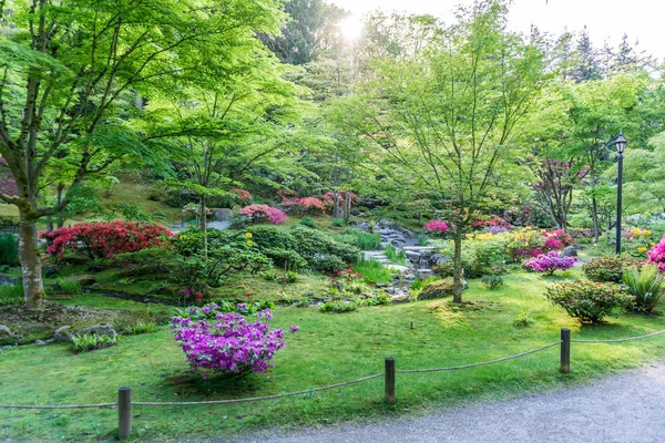 Profusiones de jardín de primavera 9 — Foto de Stock