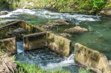 Falls 9 yakınındaki balık merdiveni