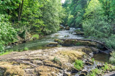 Deschutes Nehri Sahnesi