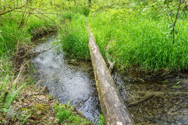 Langer Baumstamm über Bach — Stockfoto