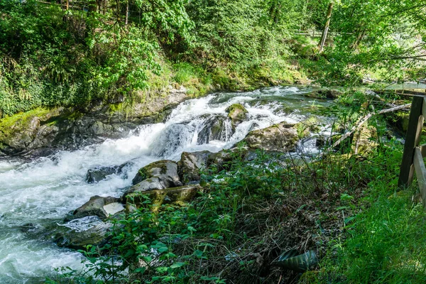 Manzara Nehri Rapids