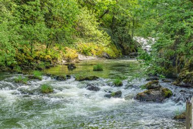 Manzara Nehri Rapids 8