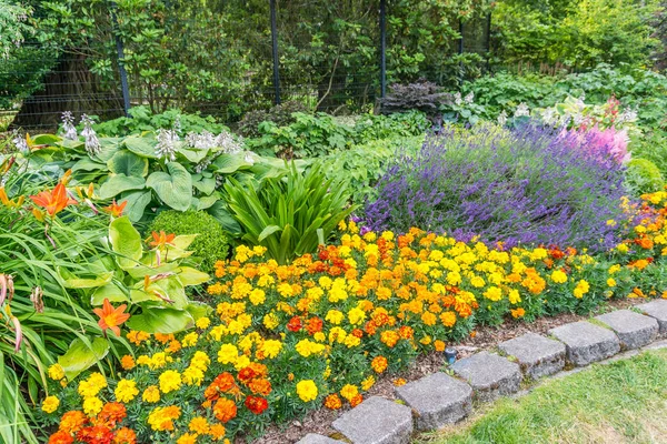 Park 3'te Parlak Marigolds
