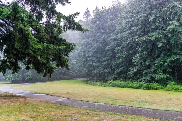 Park In The Rain — Stock Photo, Image