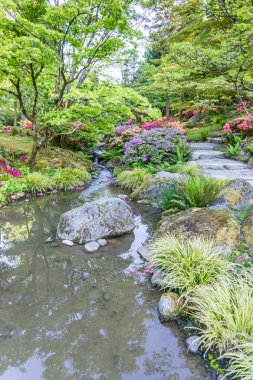 Rocky Bahçe akışı 8