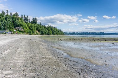 Ortaya Çıkarılmış Kıyı Şeridi Manzarası