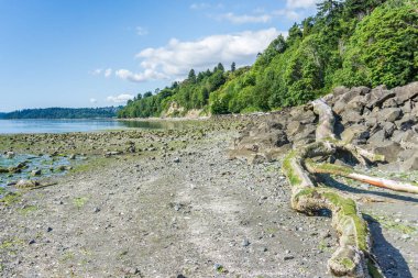 Washington Park Shoreline 2