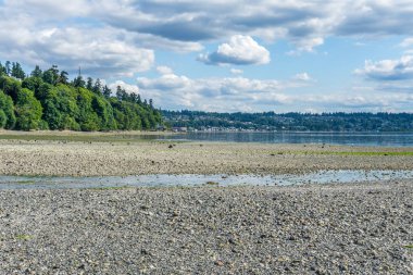 Washington Park Shoreline6 10