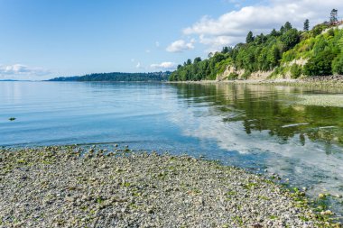 Washington Park Shoreline6 9