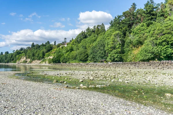Washington Park Shoreline 4
