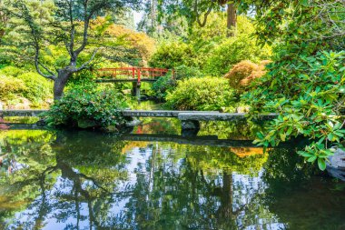 Gölet Ve Yürüyüş Köprüsü 2