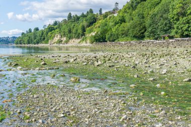 Washington Park Shoreline 3