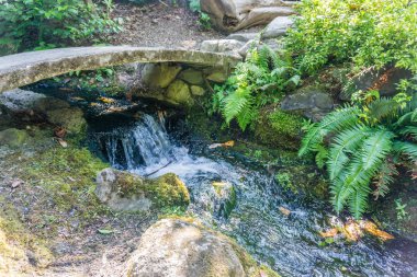 Dere ve Taş Köprü