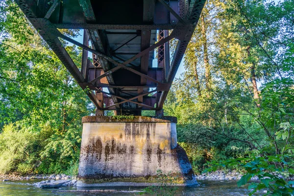 Cedro River Trail Bridge 2 — Foto de Stock