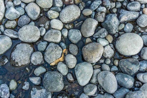 Runde Fluss Felsen Hintergrund 2 — Stockfoto