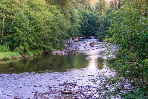 Cedar River in de zomer 2 — Stockfoto